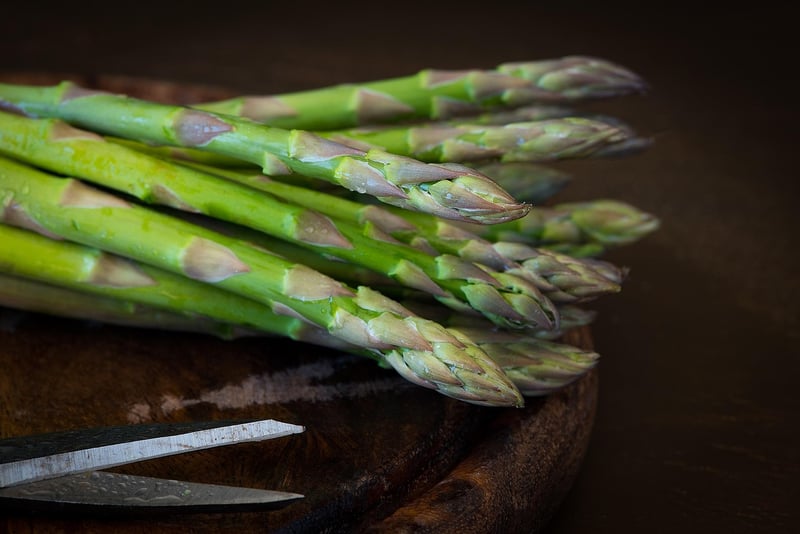 Diverse Culinary Creations